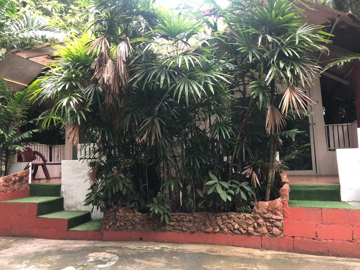 Pine Bungalow Krabi town Esterno foto